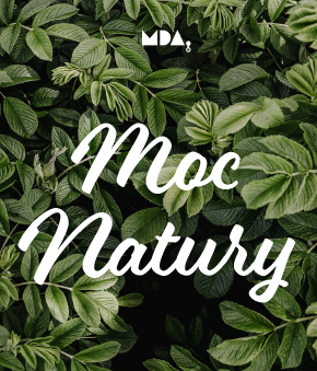 MDA Eco - katalog